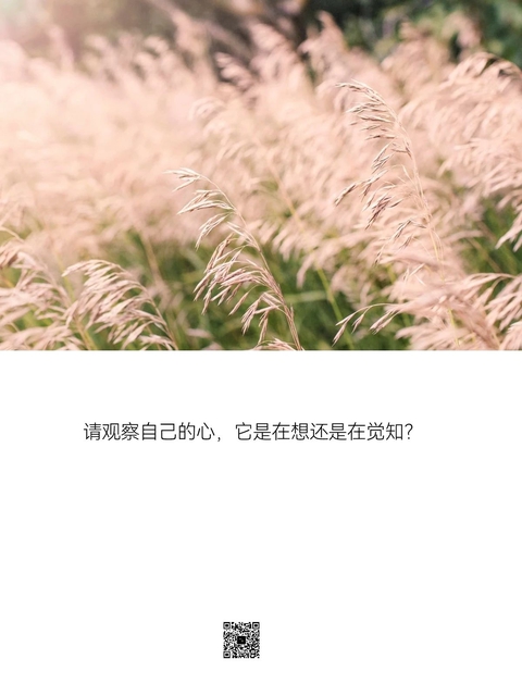 一切都是内在。