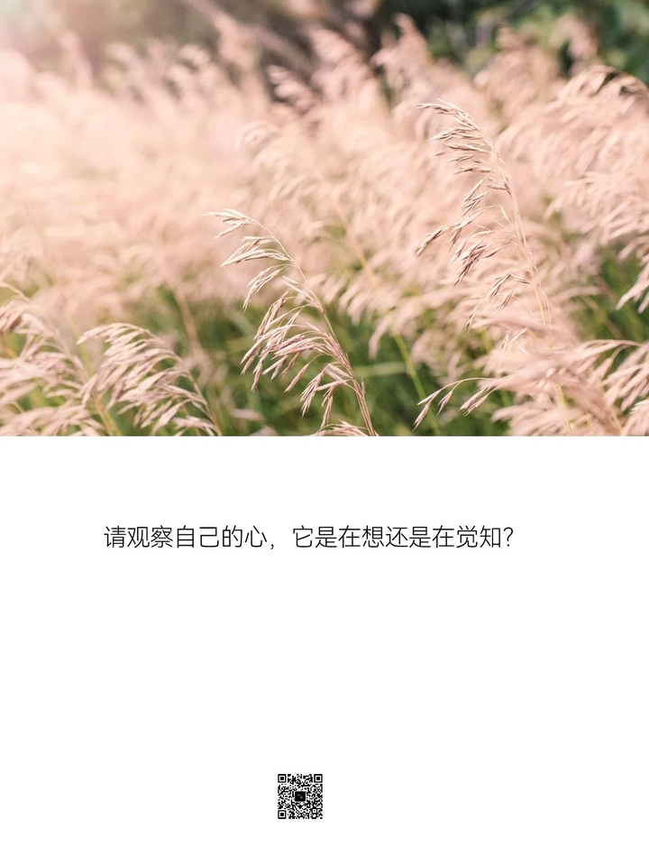 一切都是内在。