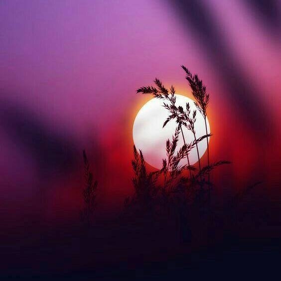 Nature has all the colours which soothes the soul.
