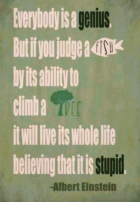 u heard it, now stop judging fish