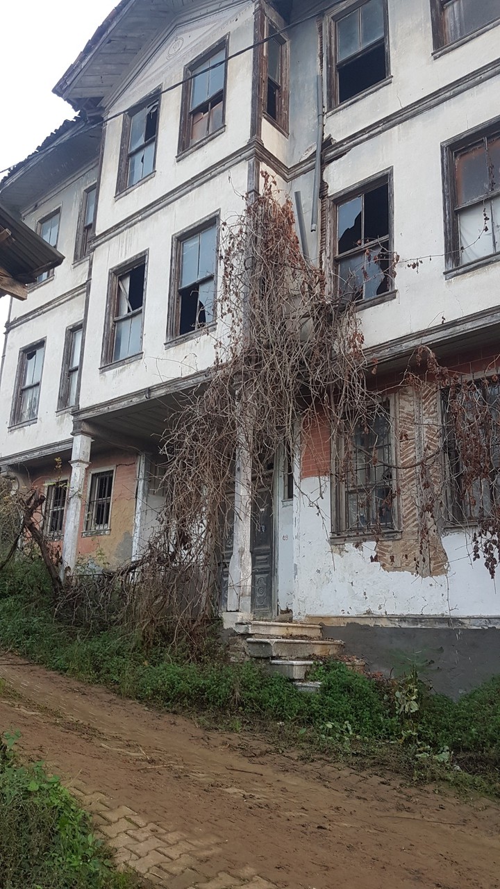 turkishhome