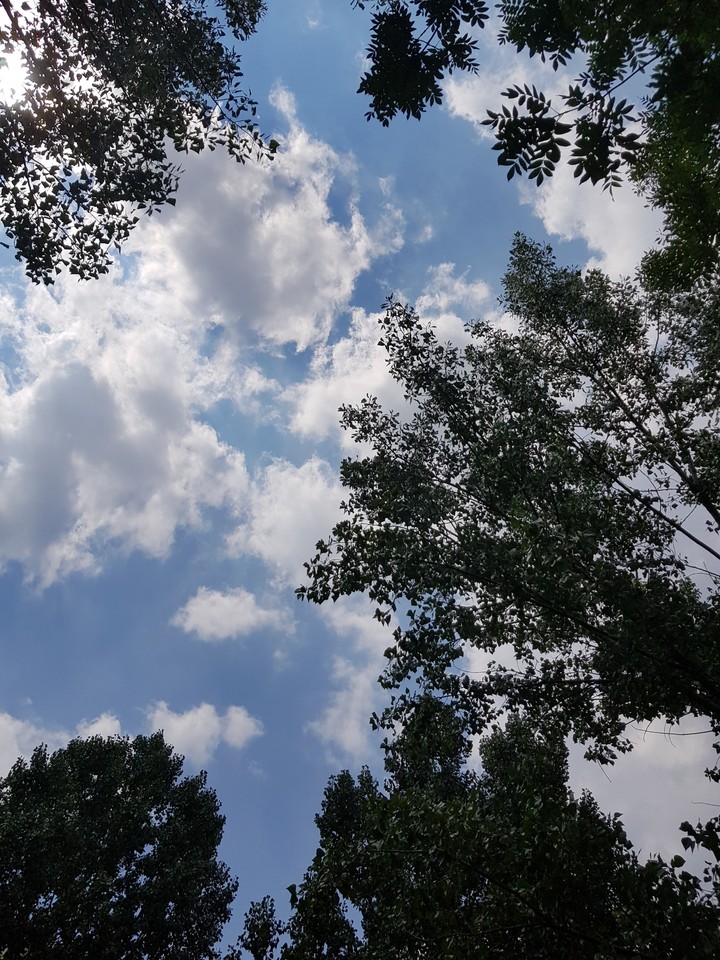 White clouds