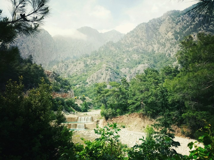 nature