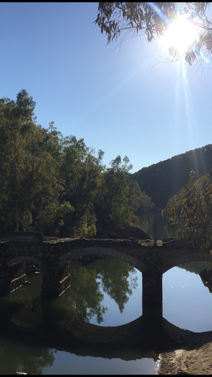 puente de campo