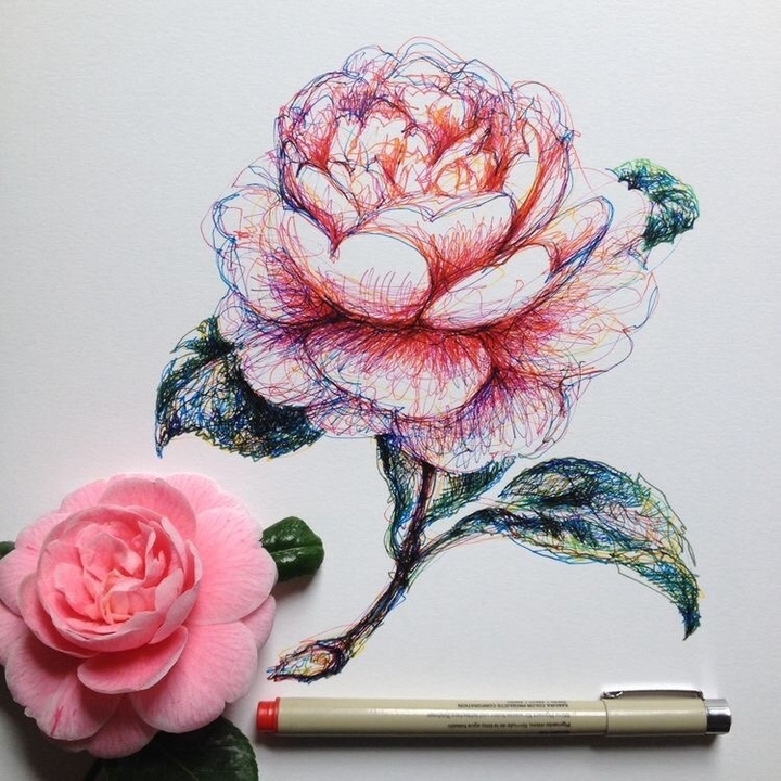 beautiful flowers