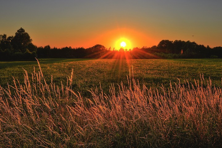 Amo Natureza! ?