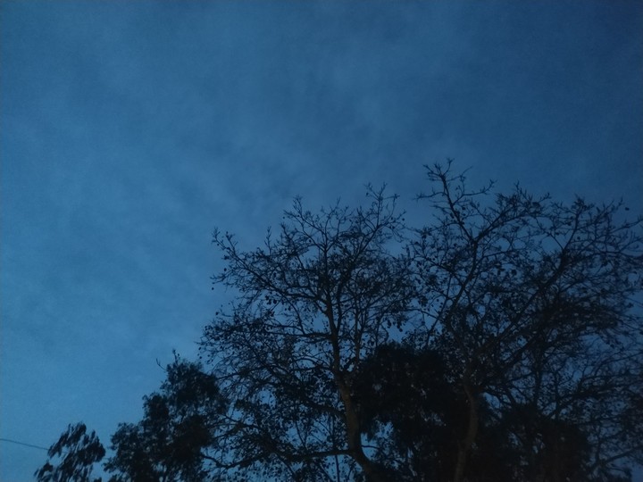 twilight