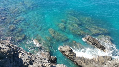 Sea