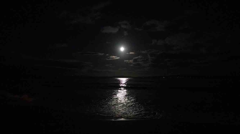A night in Tasmania