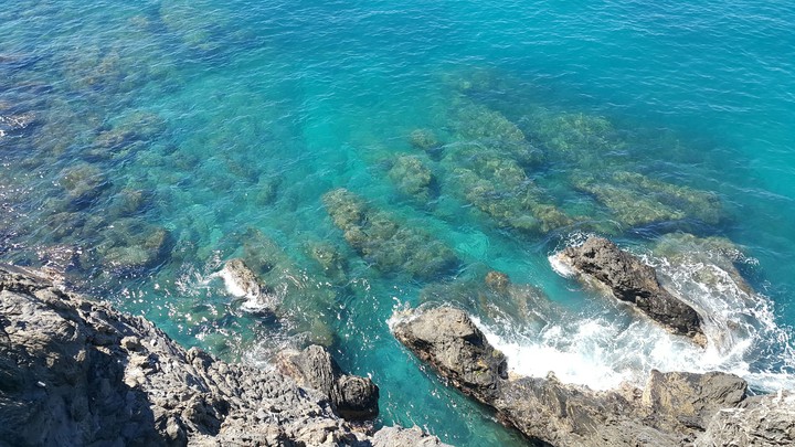 Sea