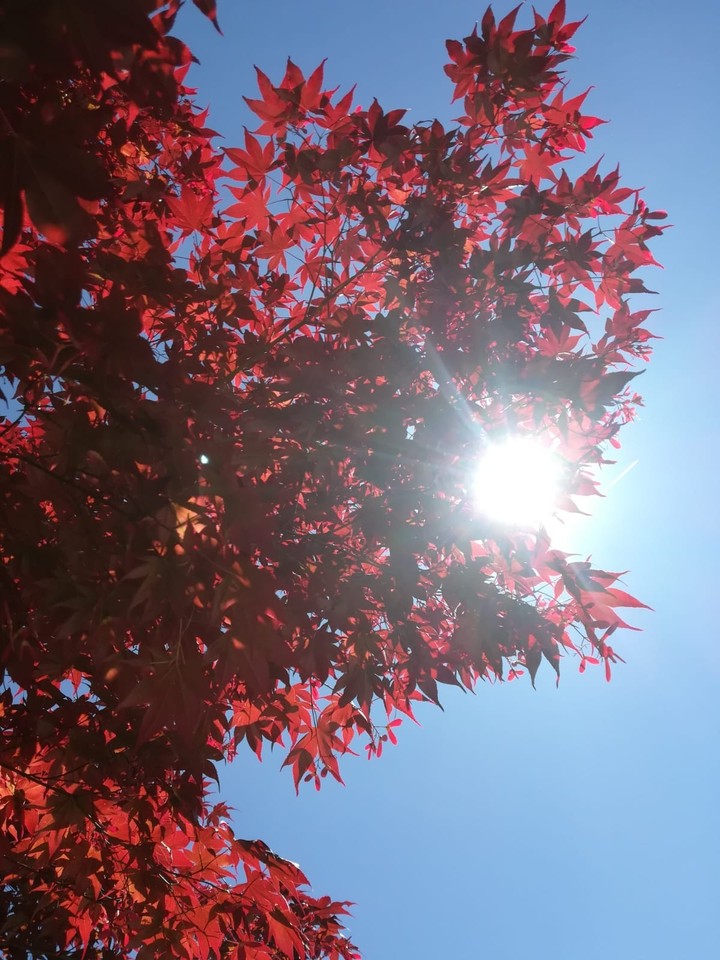 Autumn