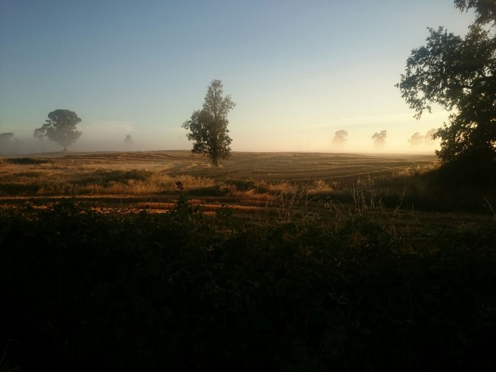 niebla