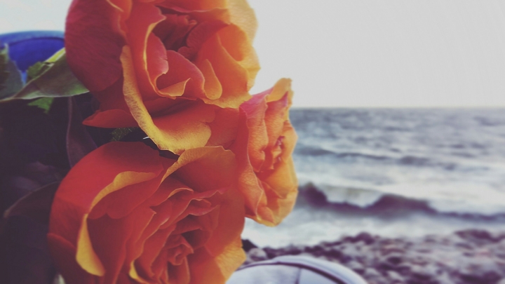 Sea