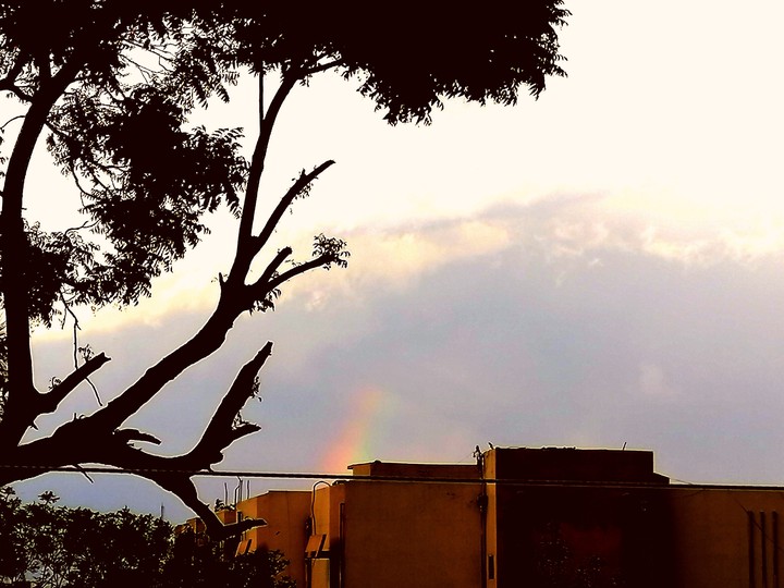 it takes sunshine and eain to make a rainbow ?