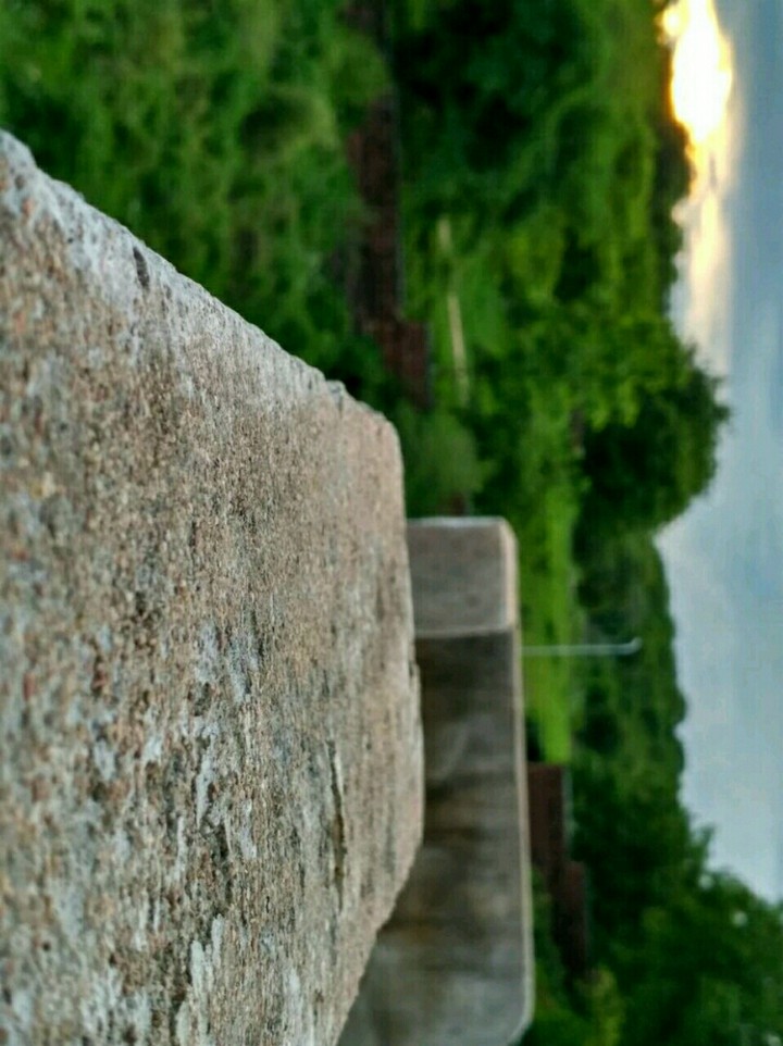 Live Near Nature.