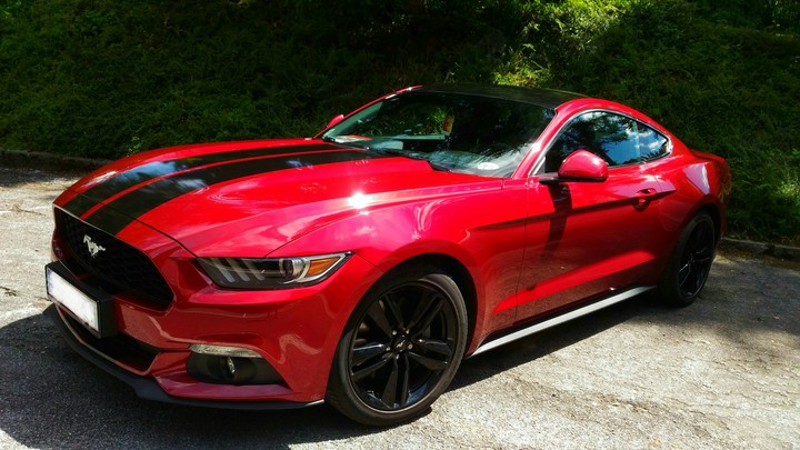 Mustang
