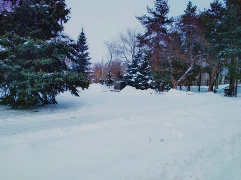 russian winter