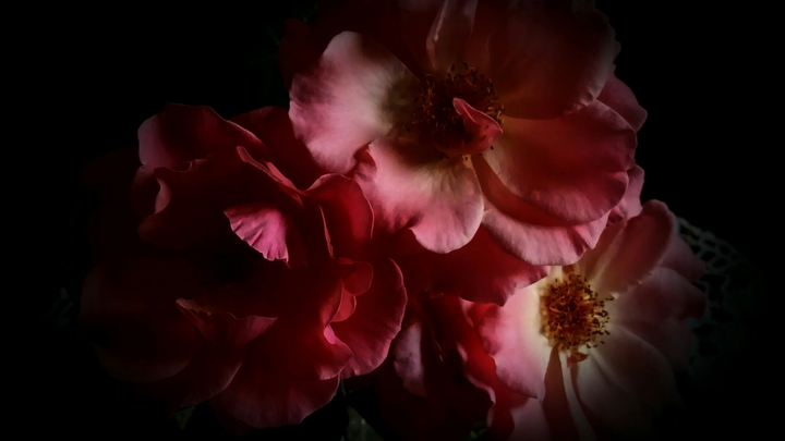 Red in the dark