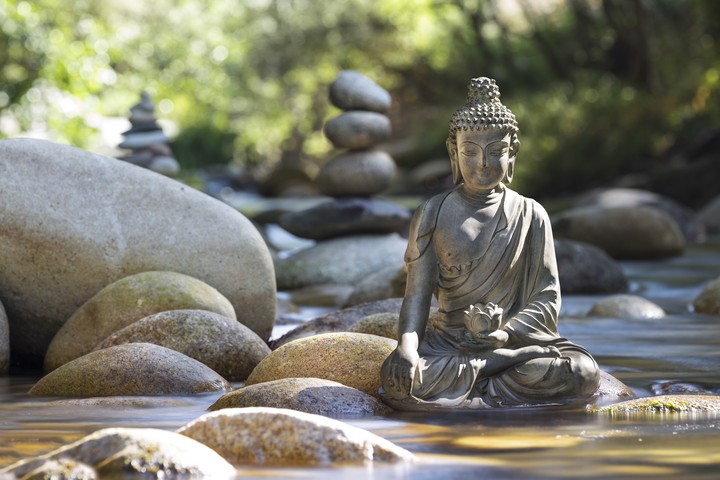 Lotus Buddha