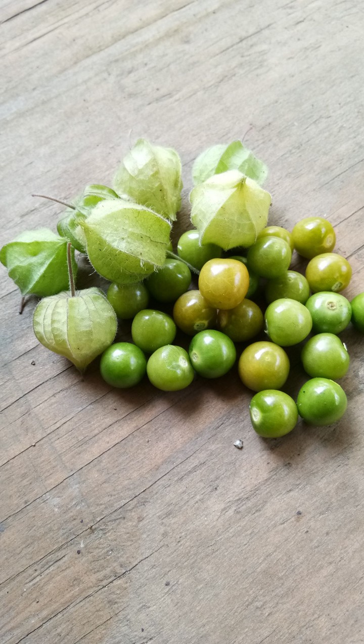 buah...