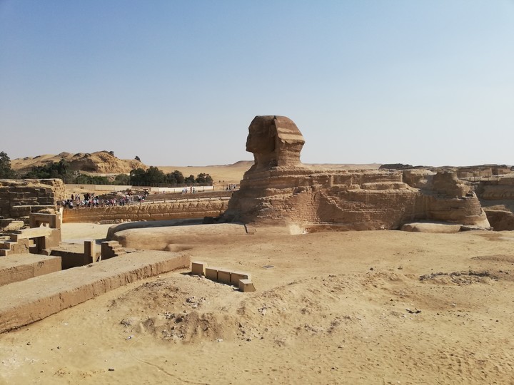 sphinx