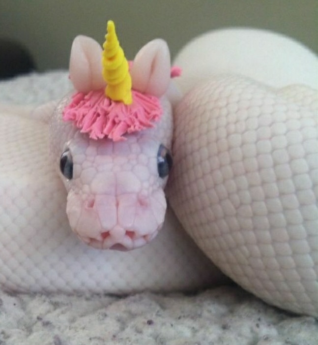 SOOOO CUTE!!!!