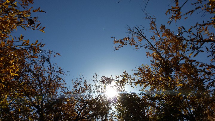 fall...