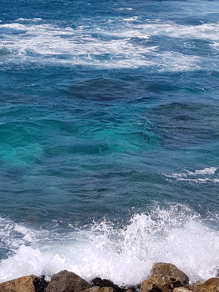 lucid sea