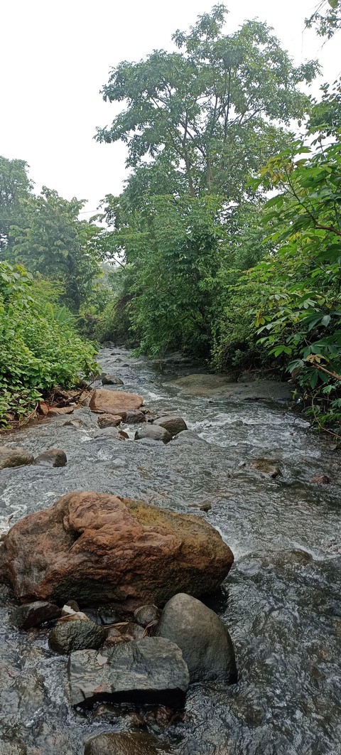 papéis de parede landscape, Water