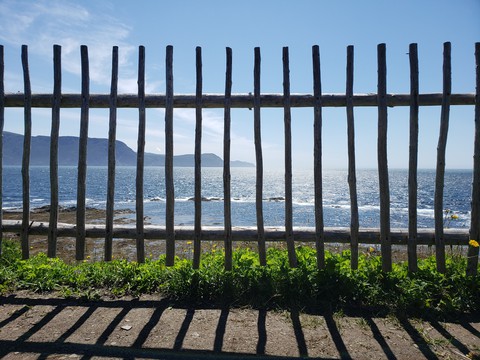 fence