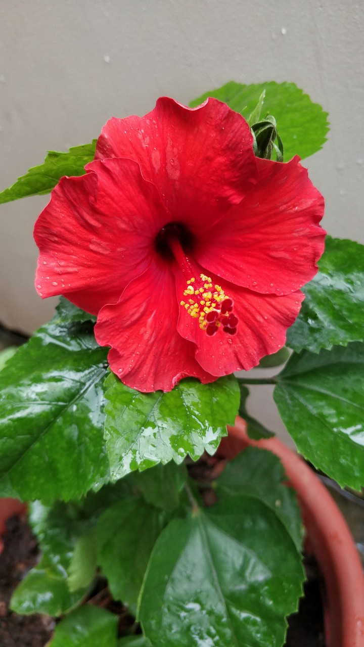 at my home