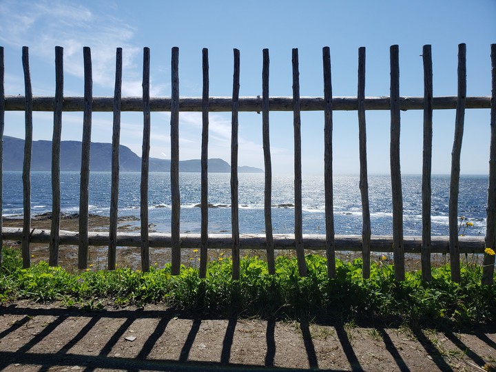 fence