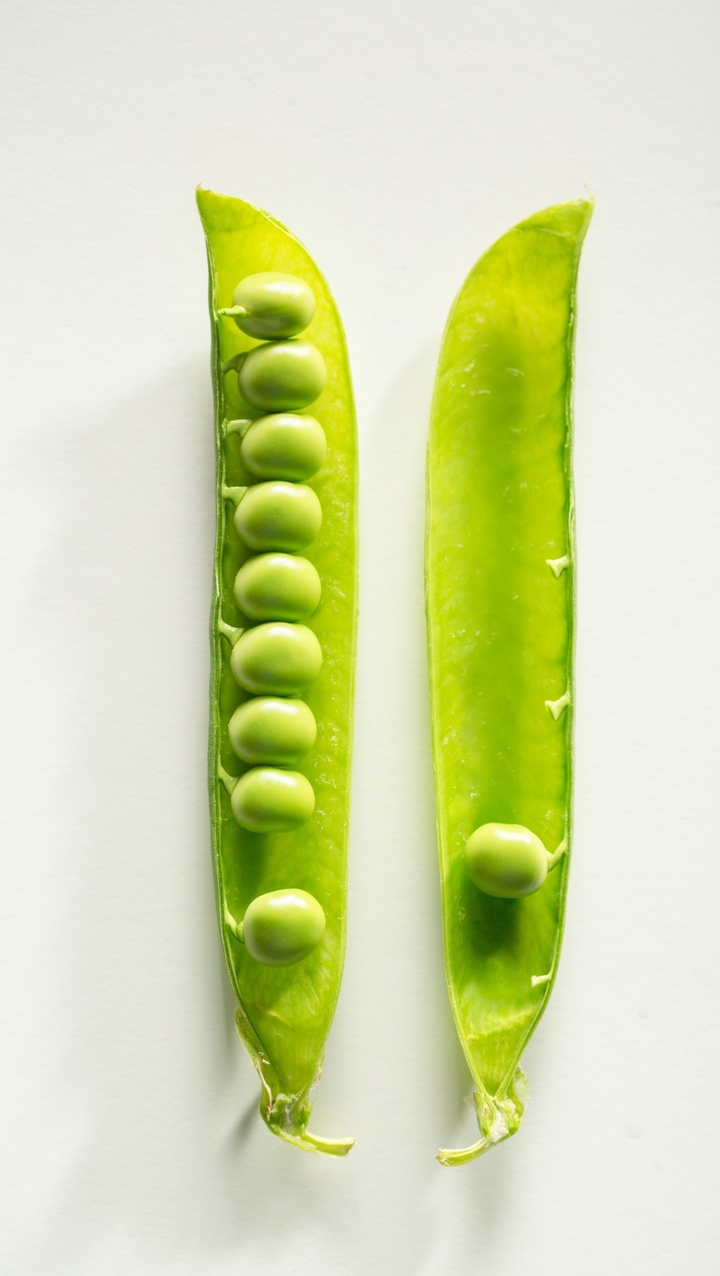 Green pea seed