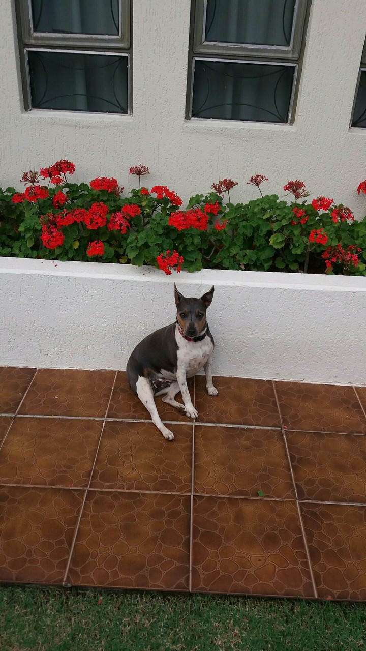 linda