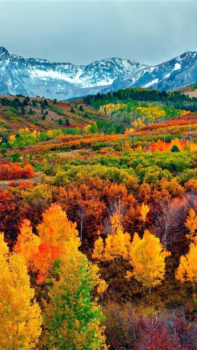 natur