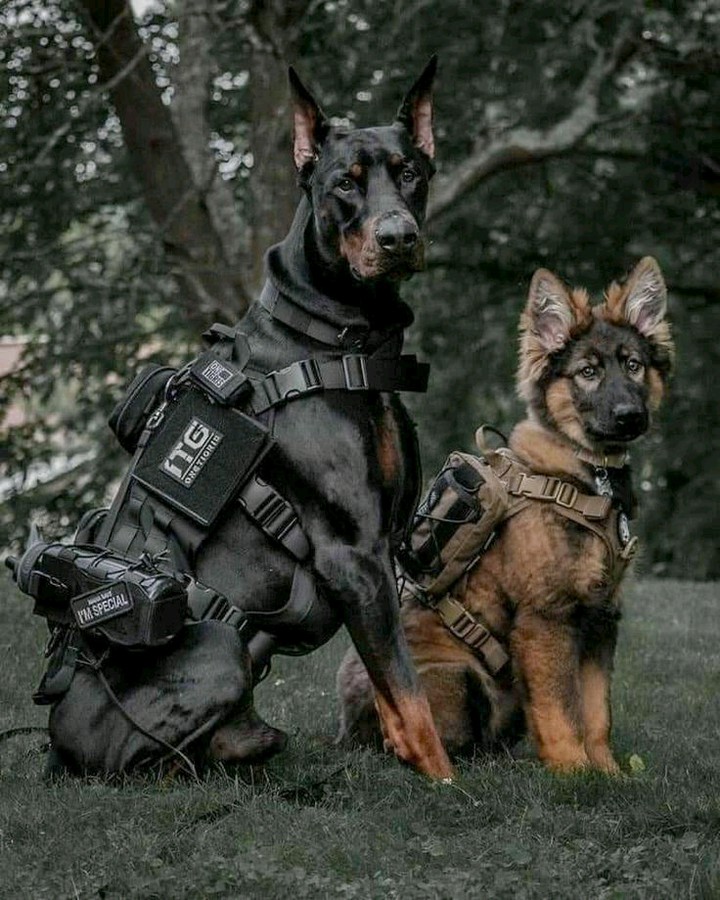 ❤
