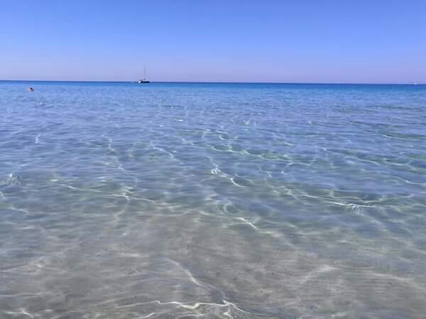 mare