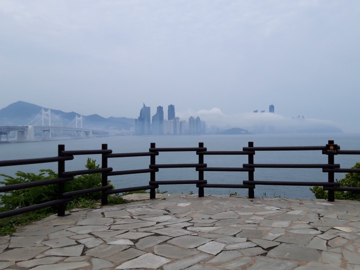 해무
