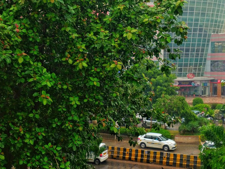 Street in rain