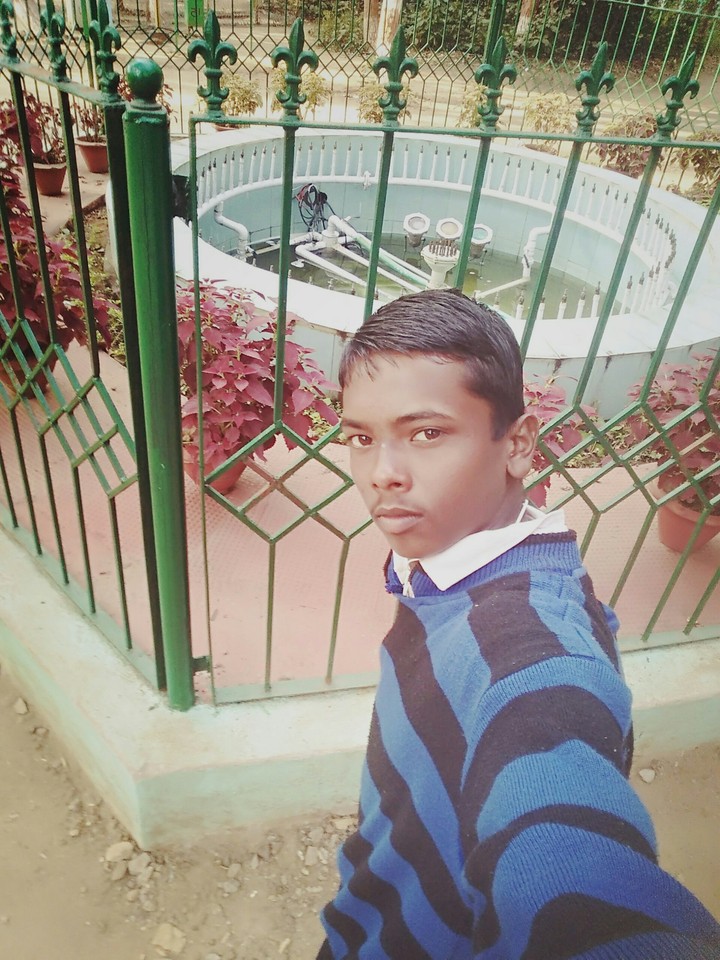 mohammad tauhid