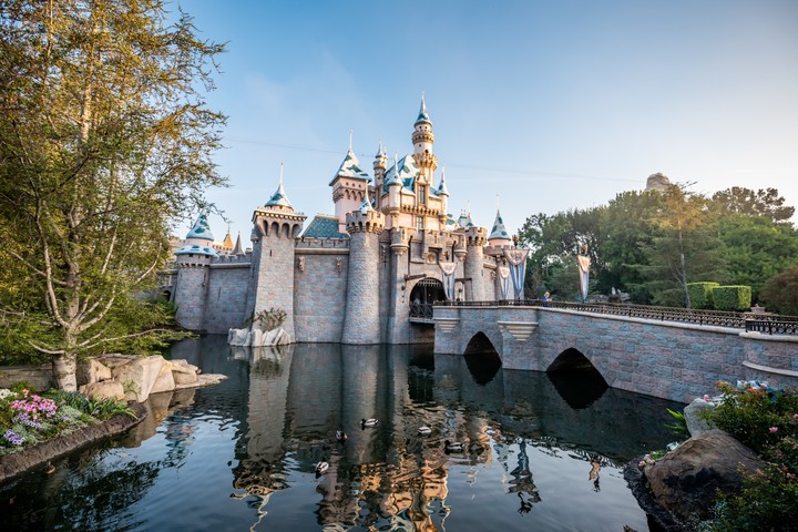 Disneyland Castle