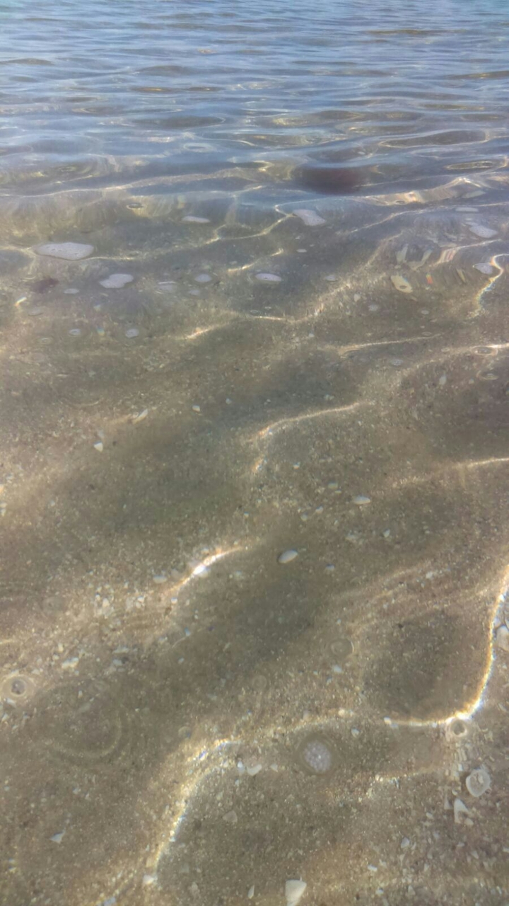 mar