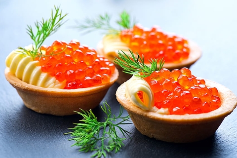 vertebrate, roe háttérképek