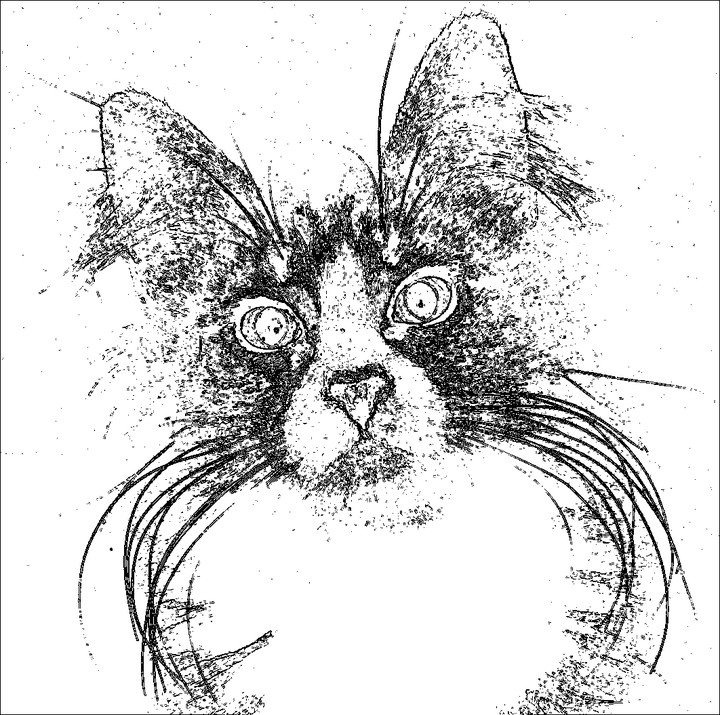 Look at my awesome whiskers!