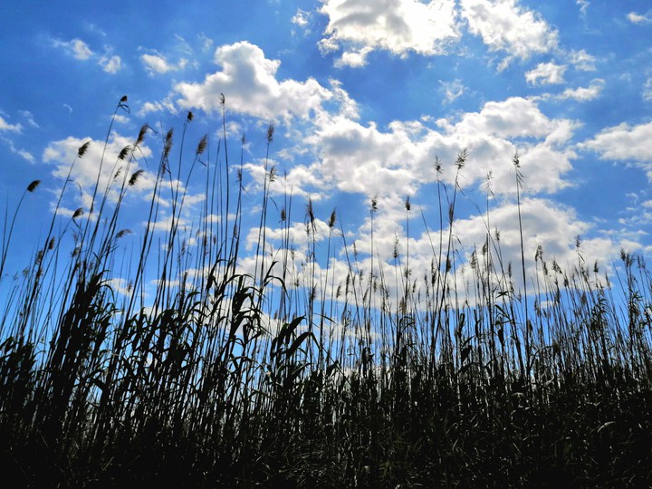 #blue sky