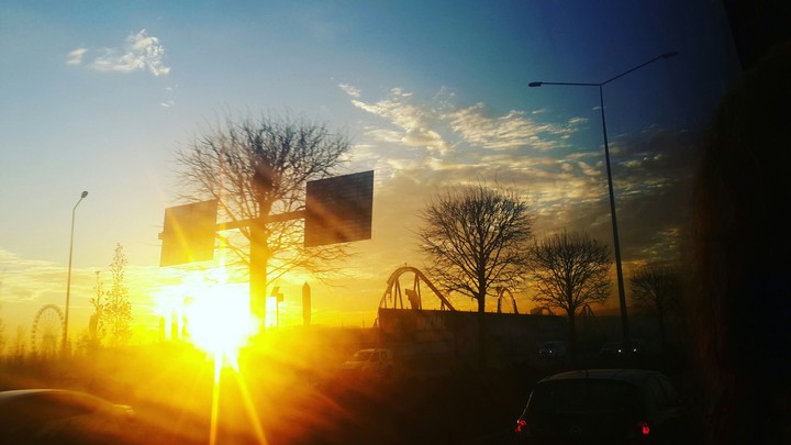 Morning