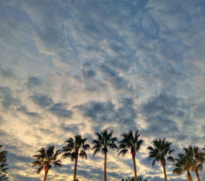 At sunset in the beach