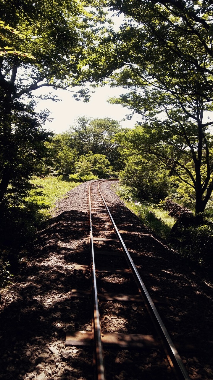 trainload
