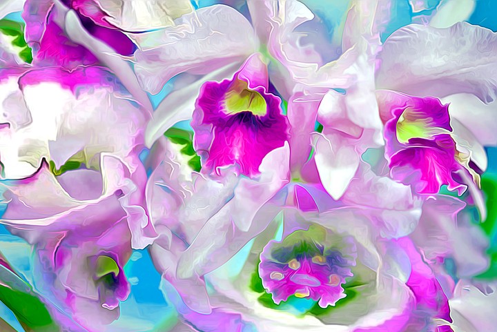 flowers abstract