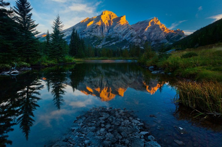 nature